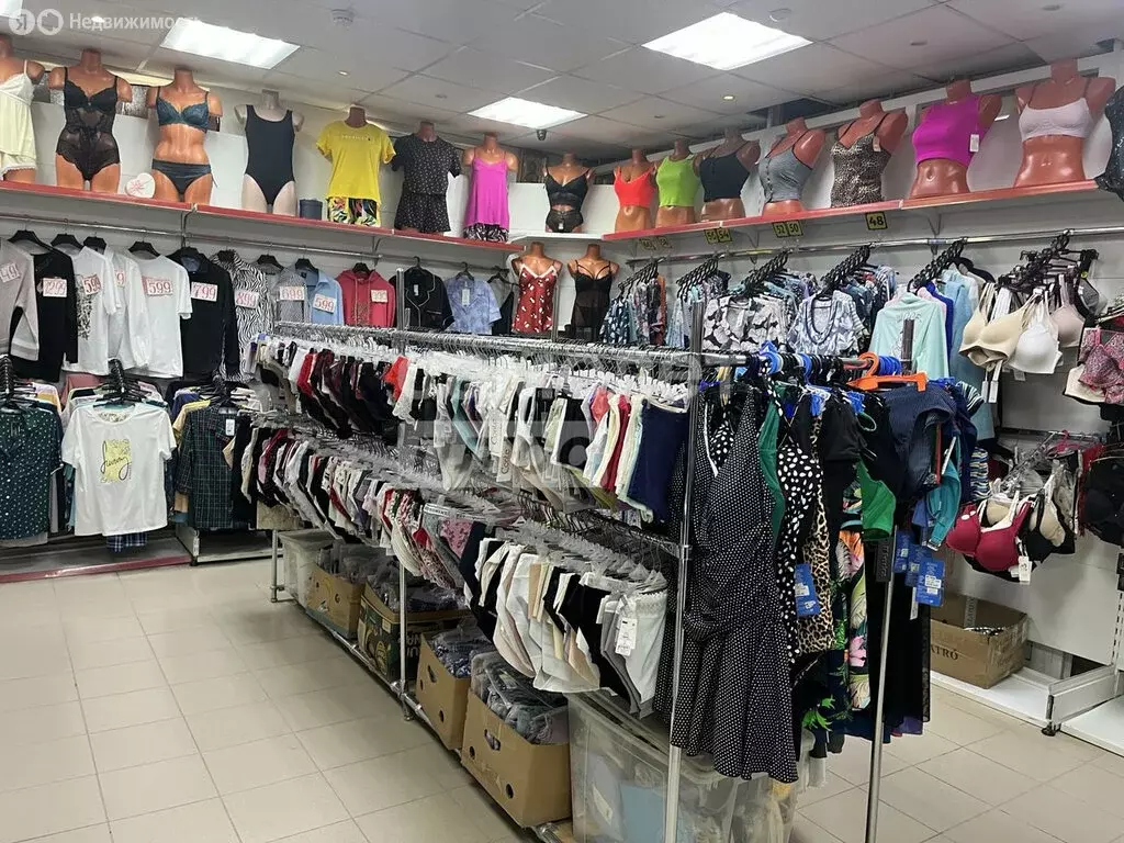 Торговая площадь (52.1 м) - Фото 2