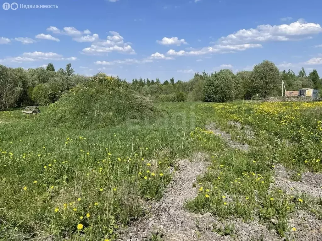 Участок в деревня Ирдоматка, улица Радужная-1 (10 м) - Фото 2