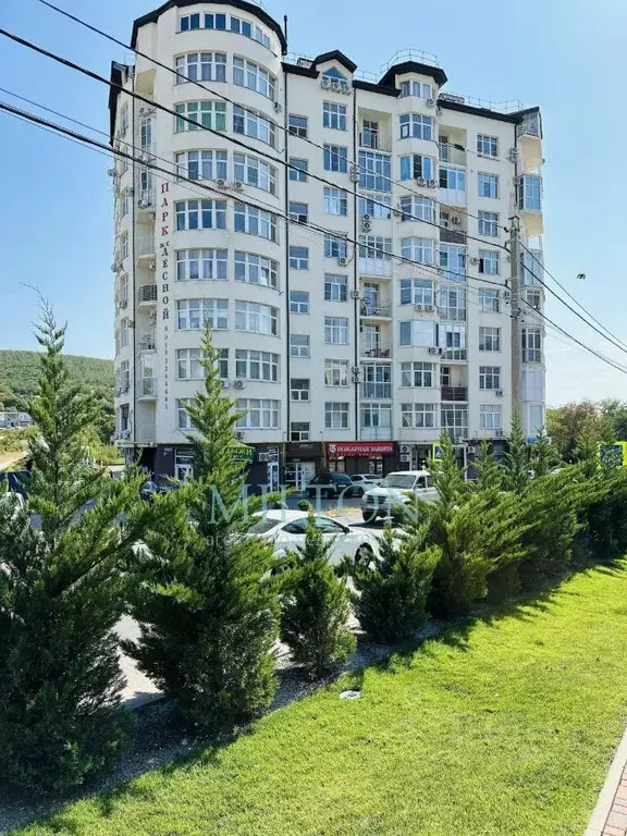 Помещение свободного назначения в Краснодарский край, Геленджик ул. ... - Фото 1