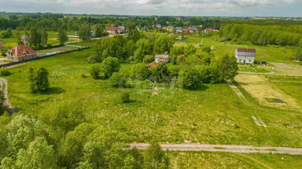 Участок в Калининградская область, Полесск Лесная ул. (12.0 сот.) - Фото 1