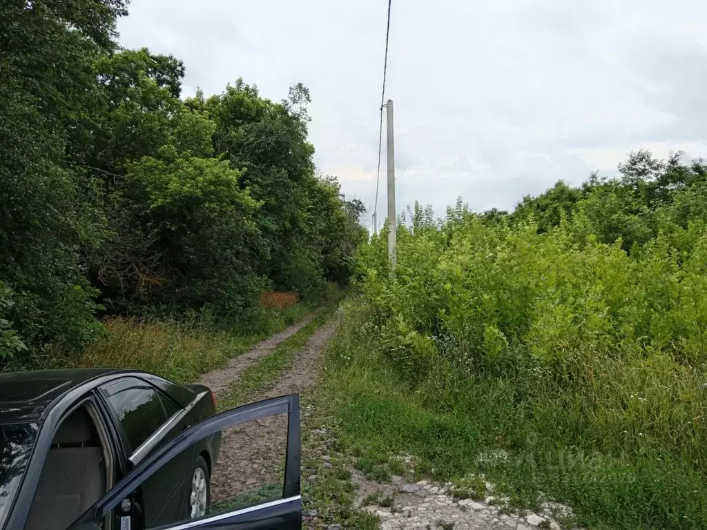Участок в Белгородская область, Строитель Яковлевский городской округ, ... - Фото 2