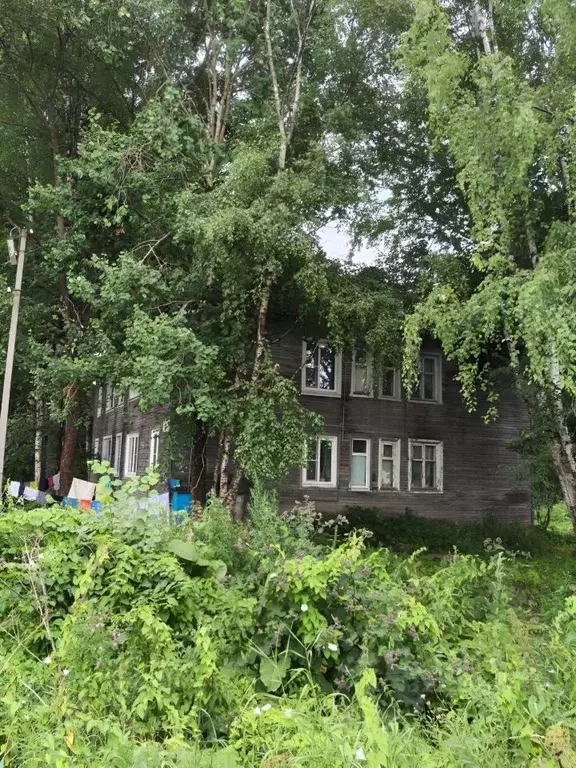 2-к кв. Вологодская область, Сокол Зеленая ул., 2 (40.1 м) - Фото 2