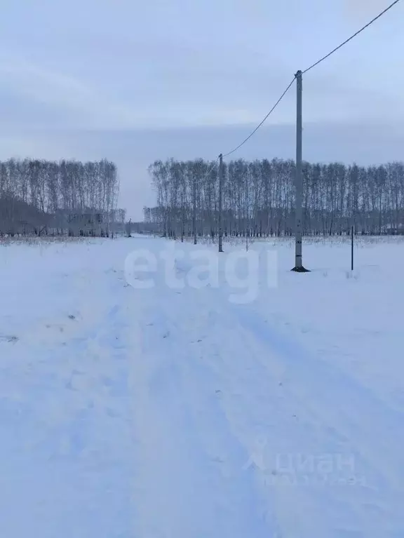 Участок в Омская область, Омский район, с. Усть-Заостровка  (14.0 ... - Фото 1