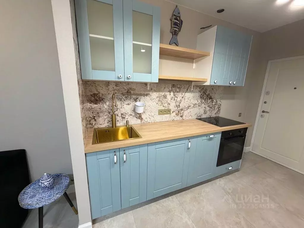 Студия Москва просп. Прокшинский, 12 (25.0 м) - Фото 1