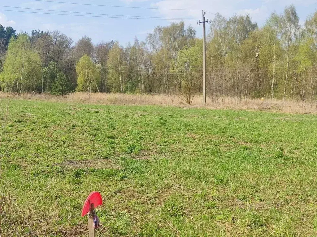 Участок в Тульская область, Ясногорский район, Иваньковское с/пос, д. ... - Фото 1