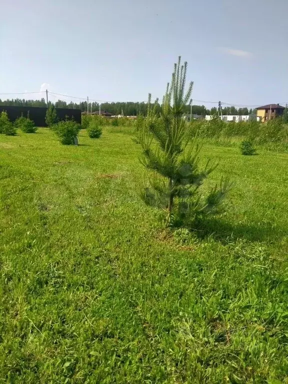 Участок в Ивановская область, Ивановский муниципальный округ, д. ... - Фото 1