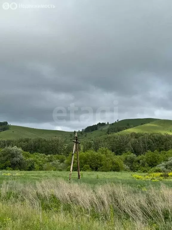 Участок в Алтайский район, Айский сельсовет, село Ая (1531 м) - Фото 1