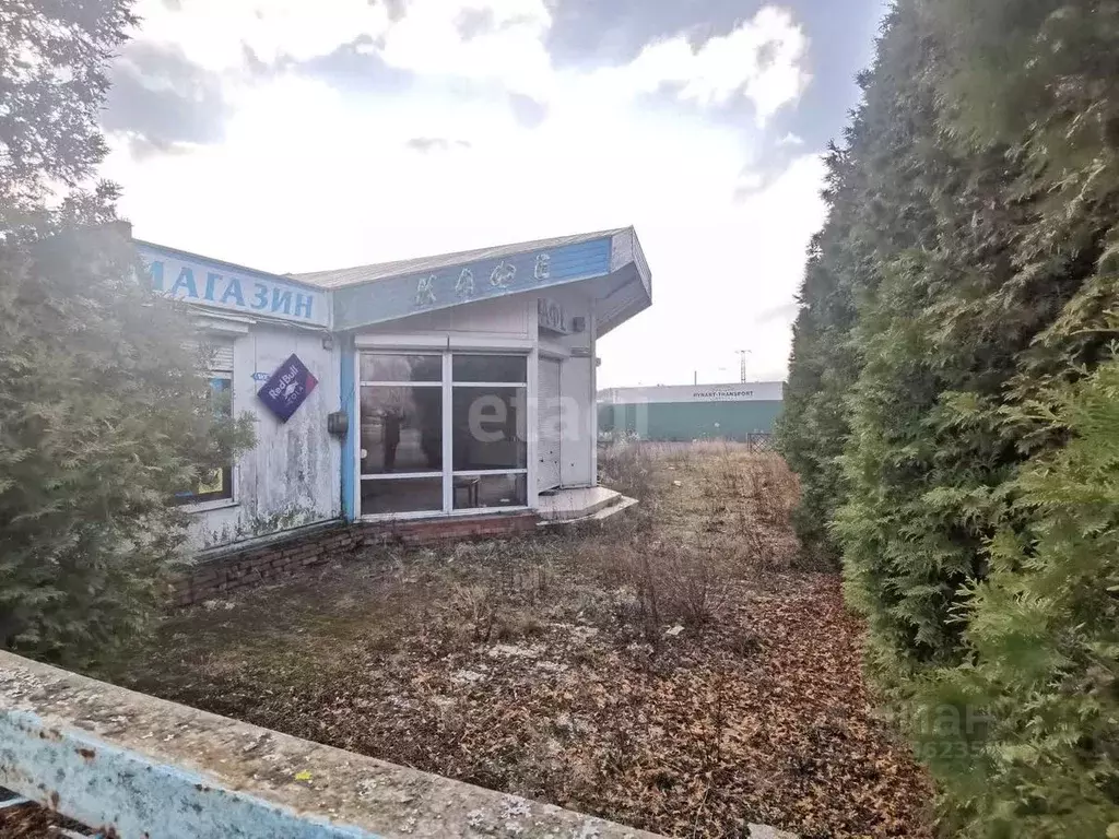 Помещение свободного назначения в Калининградская область, Калининград ... - Фото 1