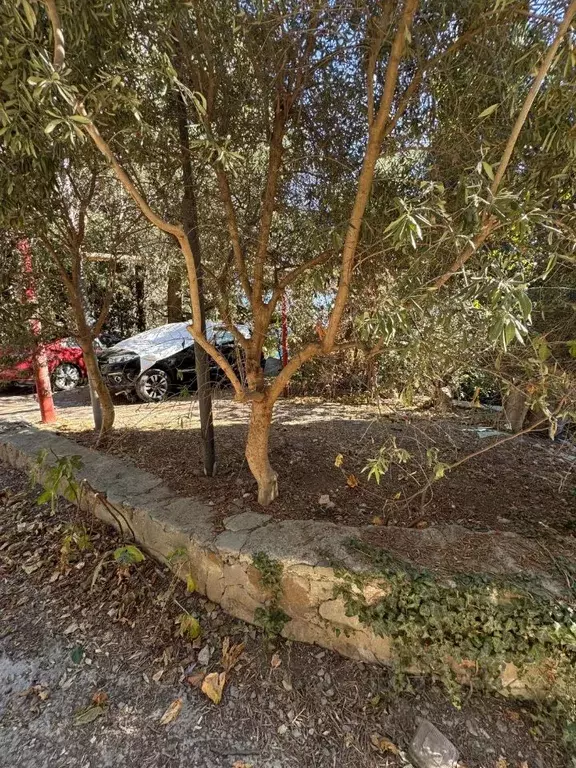 Участок в Крым, Алушта муниципальный округ, пос. Утес ул. Гагариной ... - Фото 1