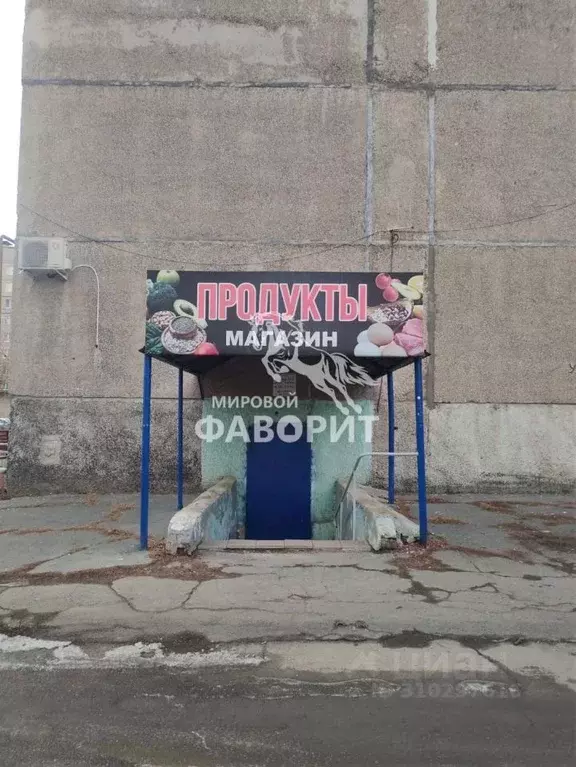Помещение свободного назначения в Оренбургская область, Орск Новый ... - Фото 0