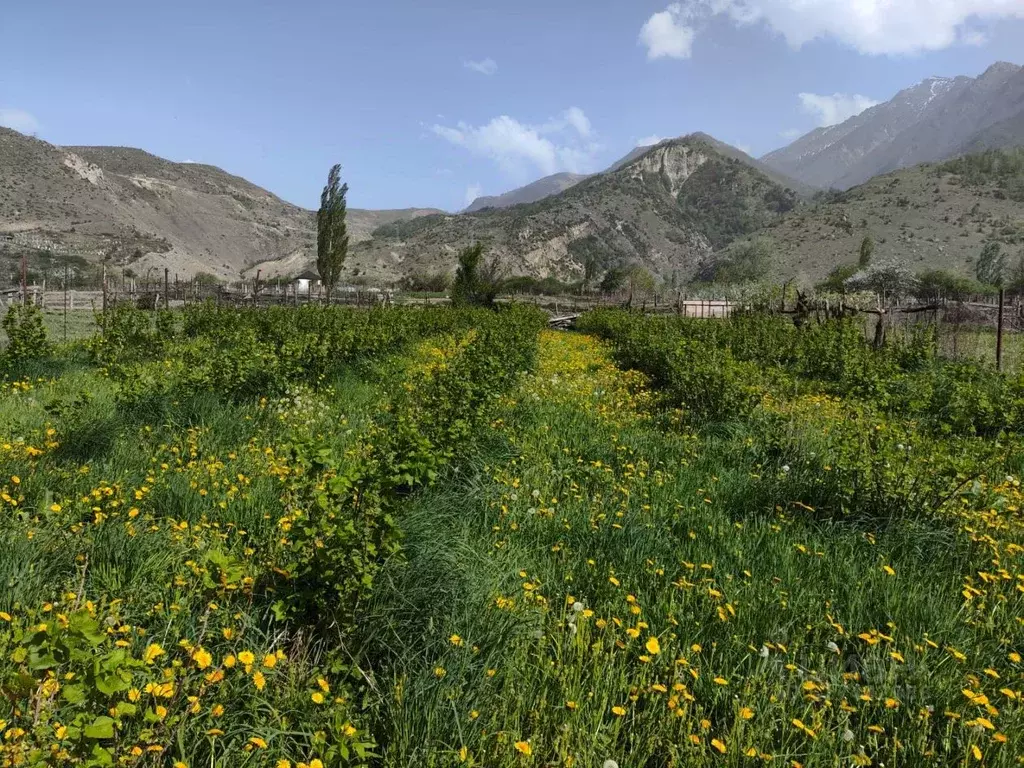 Участок в Кабардино-Балкария, Черекский район, с. Верхняя Балкария  ... - Фото 2