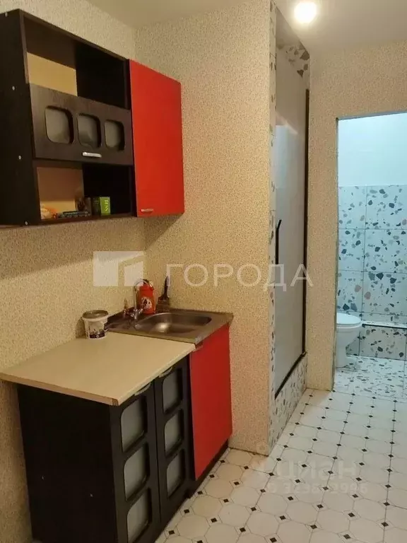 1-к кв. Алтайский край, Барнаул ул. Весенняя, 6 (24.0 м) - Фото 1