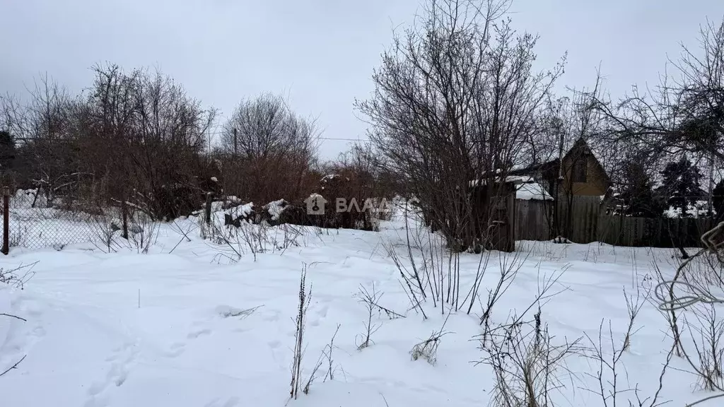 Участок в Калининградская область, Багратионовский муниципальный ... - Фото 2