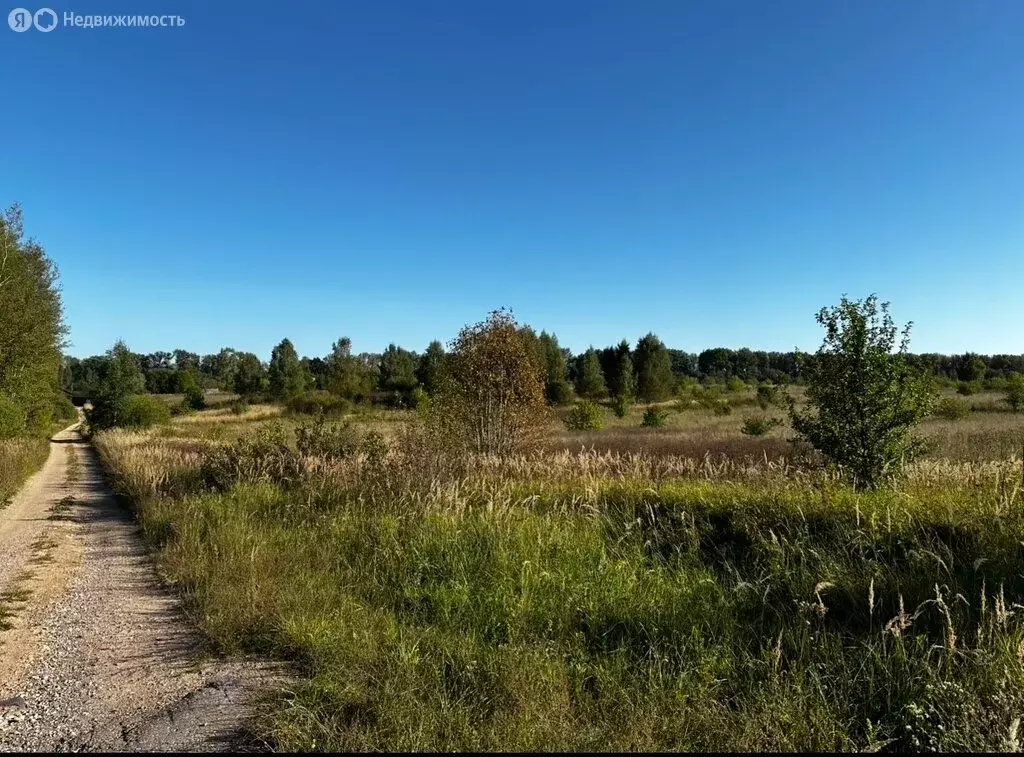 Участок в Псковская область, Пушкиногорский муниципальный округ, ... - Фото 1
