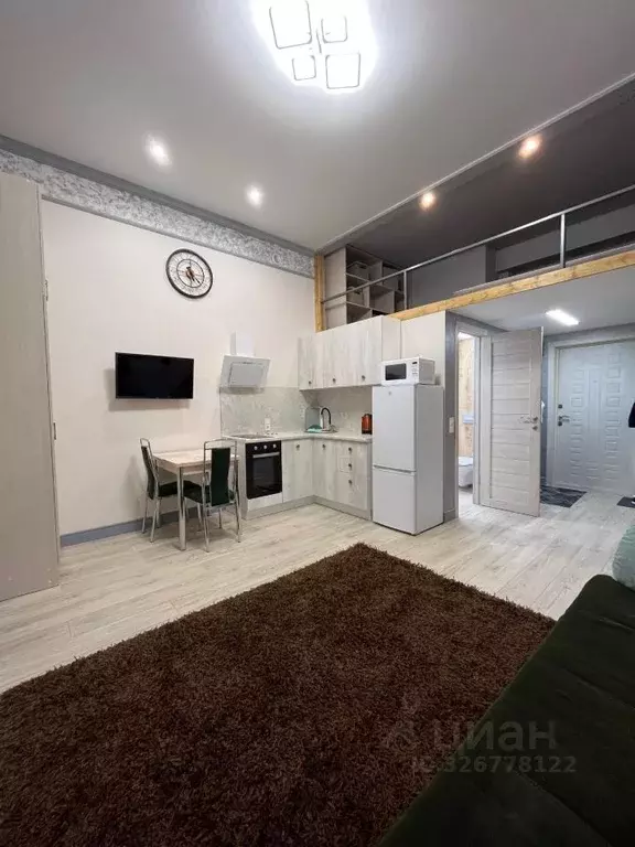 Студия Москва ул. 2-я Энтузиастов, 5к39 (26.4 м) - Фото 1