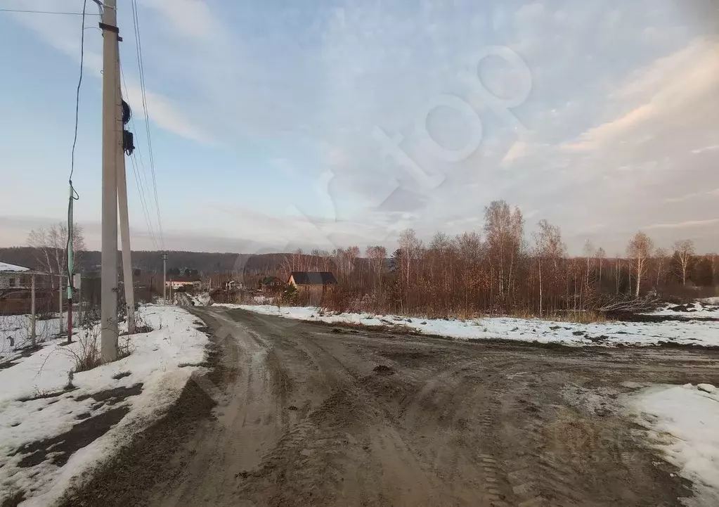 Участок в Новосибирская область, Новосибирский район, Барышевский ... - Фото 2