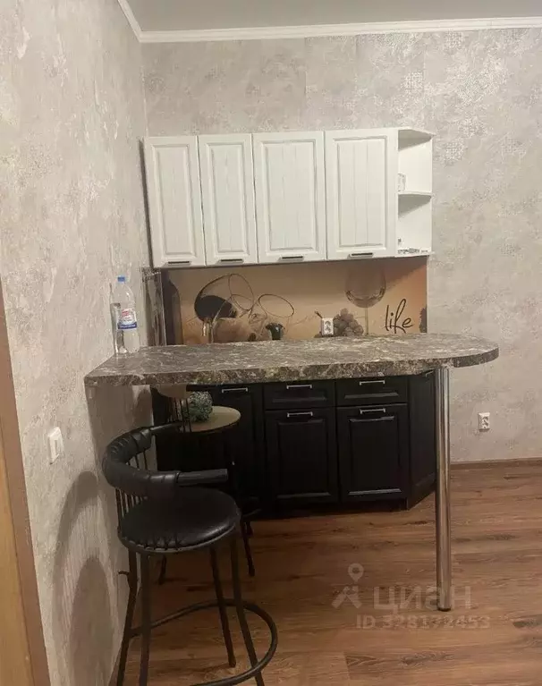 Студия Новосибирская область, Новосибирск 2-я Обская ул., 154 (23.1 м) - Фото 2