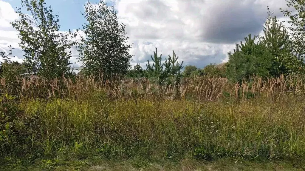 Участок в Костромская область, Кострома Струя-2 СНТ,  (5.0 сот.) - Фото 1