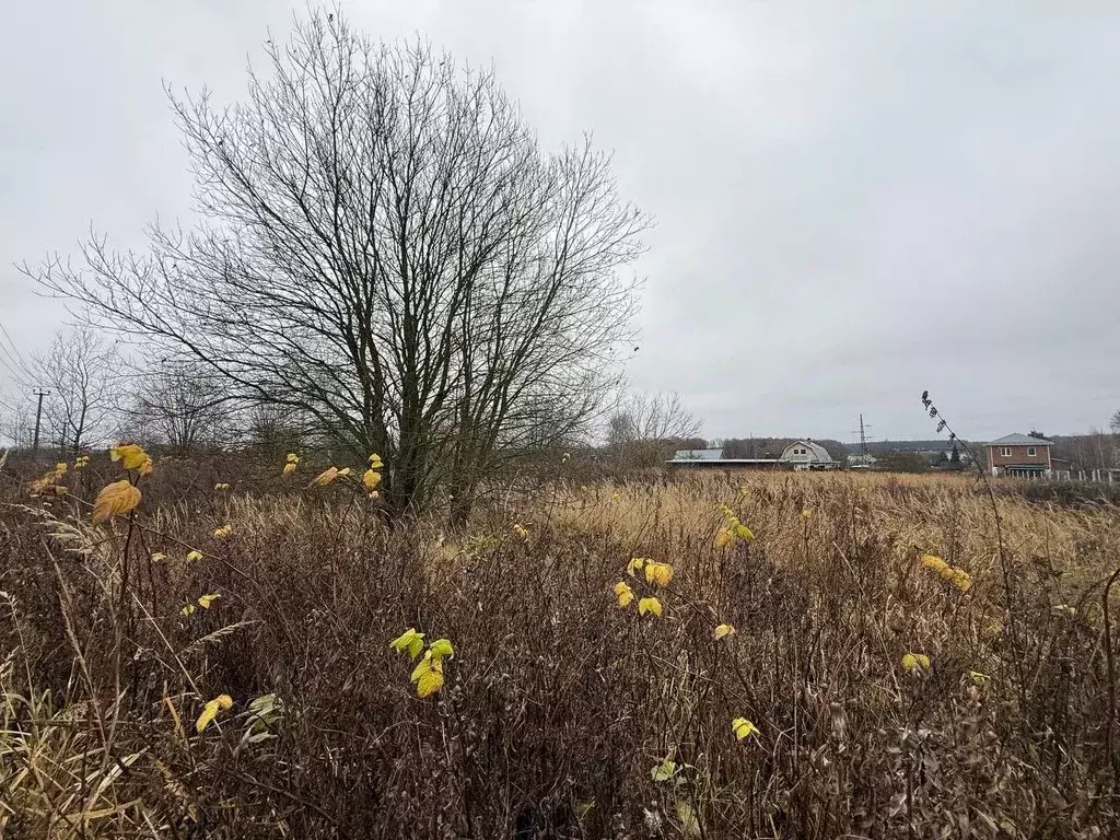 Участок в Московская область, Подольск городской округ, д. Никулино  ... - Фото 2