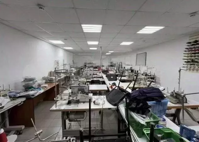 Помещение свободного назначения в Татарстан, Казань ул. Восстания, 101 ... - Фото 2