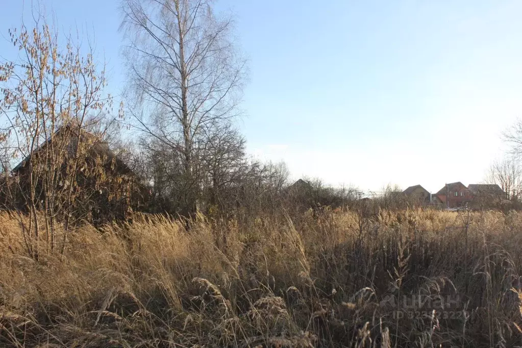 Участок в Москва д. Кузнецово, ул. Березовая (10.04 сот.) - Фото 2