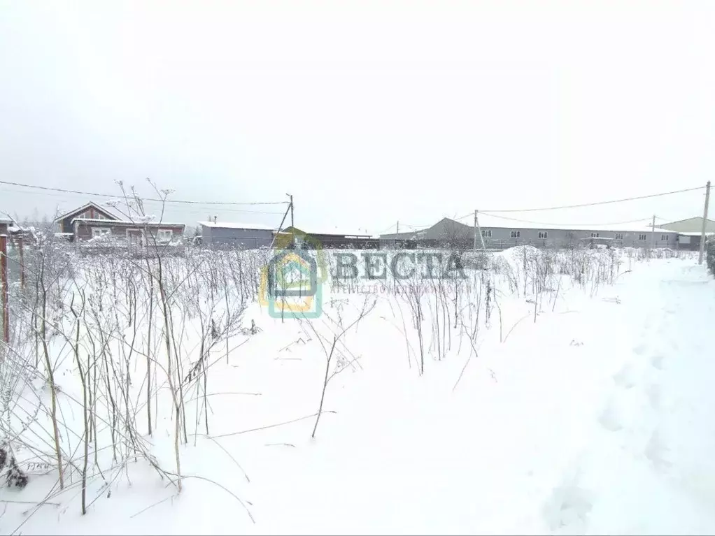 Участок в Ленинградская область, Ломоносовский район, Виллозское ... - Фото 1