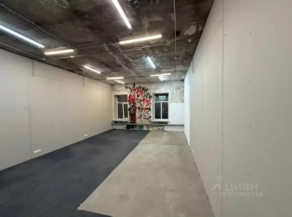 Помещение свободного назначения в Санкт-Петербург пер. Матисов, 4 (62 ... - Фото 2