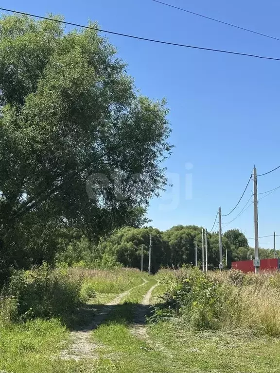 Участок в Тульская область, Новомосковск Сокольники мкр,  (15.0 сот.) - Фото 1