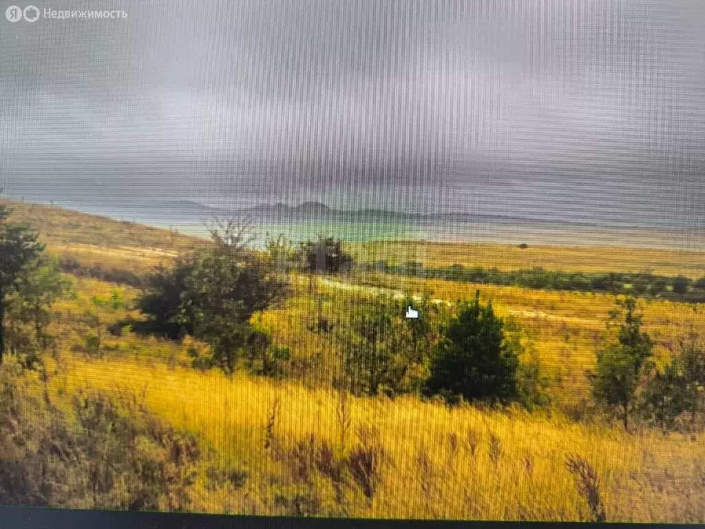 Участок в Елшанское муниципальное образование, деревня Андреевка, ... - Фото 0