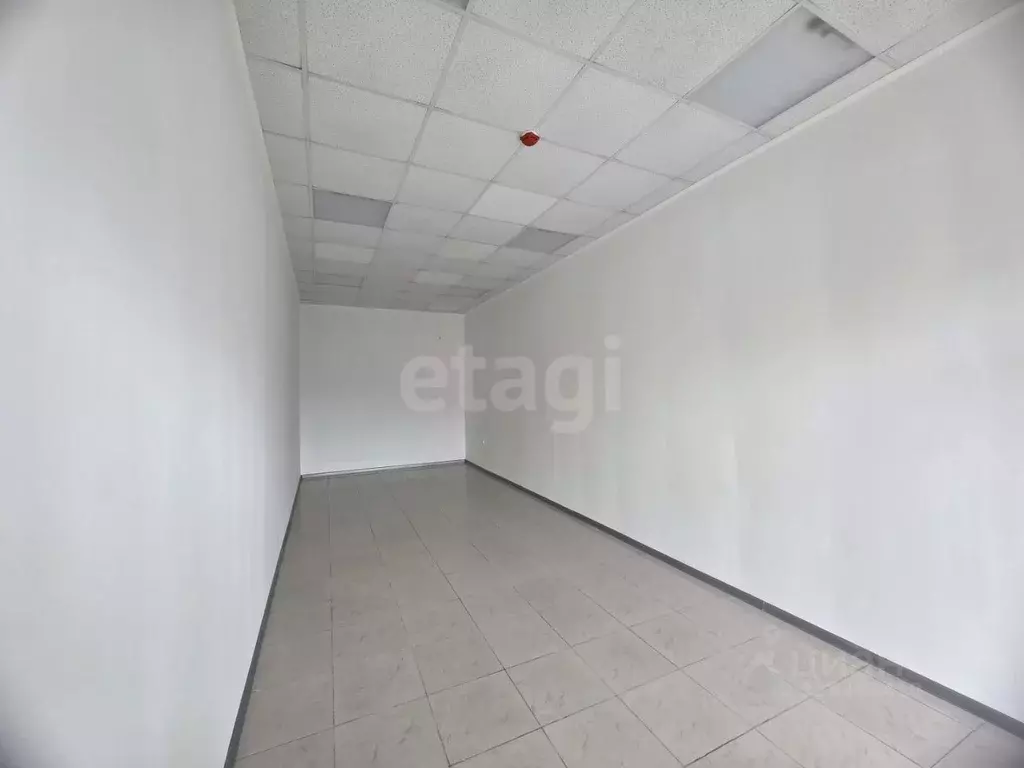 Помещение свободного назначения в Краснодарский край, Новороссийск ул. ... - Фото 2