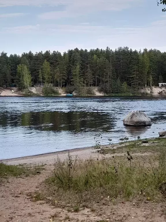 Участок в Ленинградская область, Выборгский район, Гончаровское с/пос, ... - Фото 1