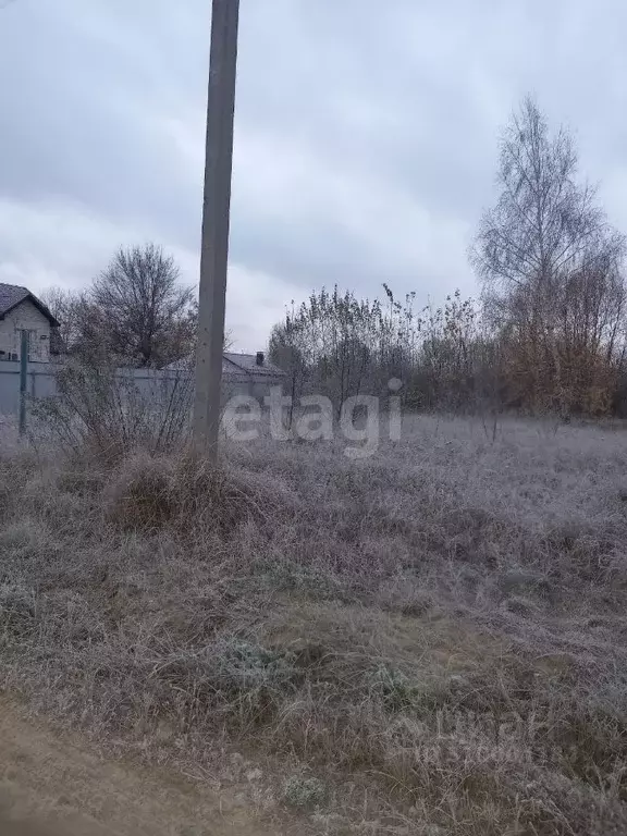 Участок в Воронежская область, с. Новая Усмань ул. Освобождения (12.0 ... - Фото 1