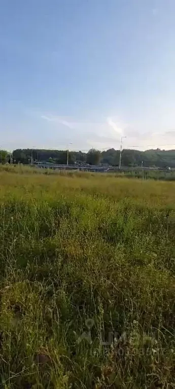 Участок в Алтайский край, Алтайский район, Айский сельсовет, с. Ая ул. ... - Фото 1