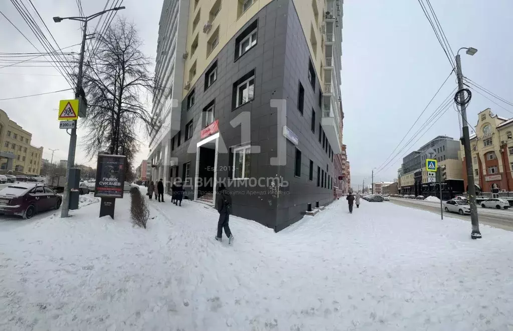 Помещение свободного назначения в Челябинская область, Челябинск ул. ... - Фото 1