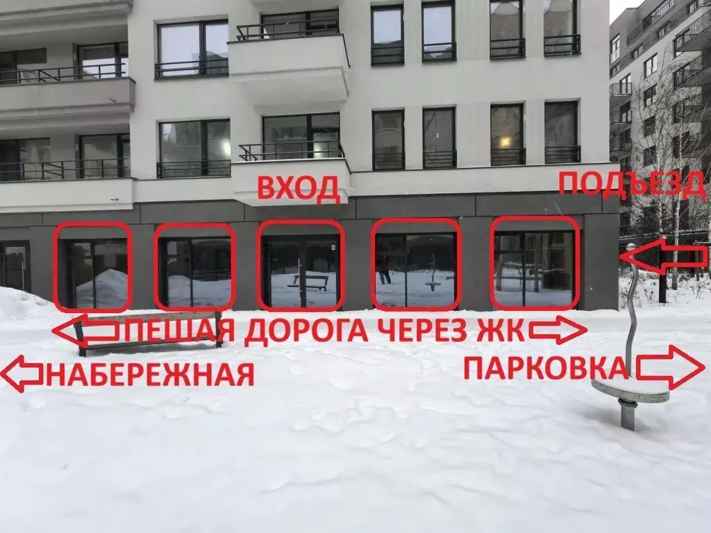 Помещение свободного назначения в Новосибирская область, Новосибирск ... - Фото 2