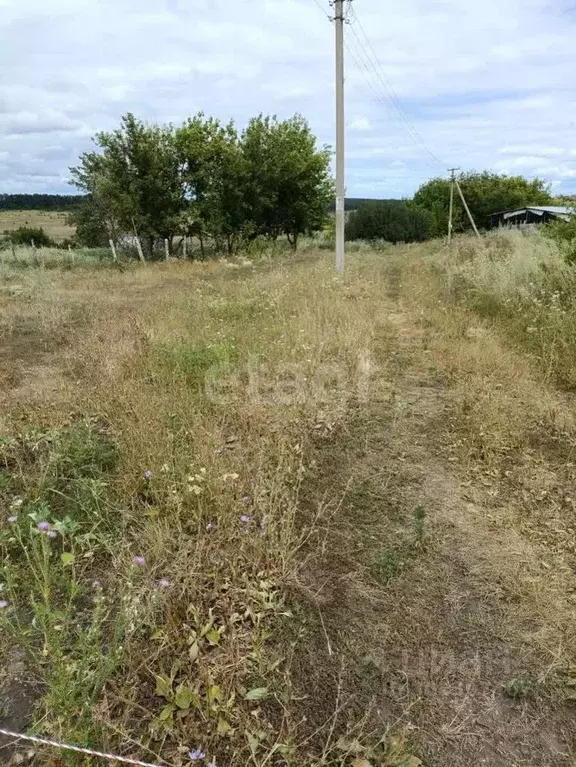 Участок в Белгородская область, Вейделевский район, Солонцинское ... - Фото 0