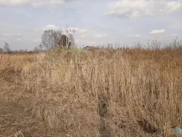 Участок 11 сот. (ИЖС) - Фото 0
