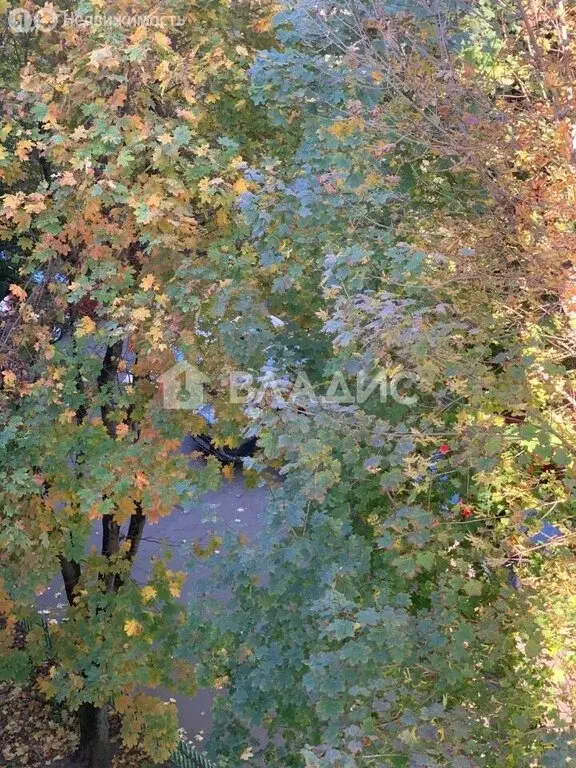 1-комнатная квартира: Мытищи, Силикатная улица, 37Е (32.4 м) - Фото 2