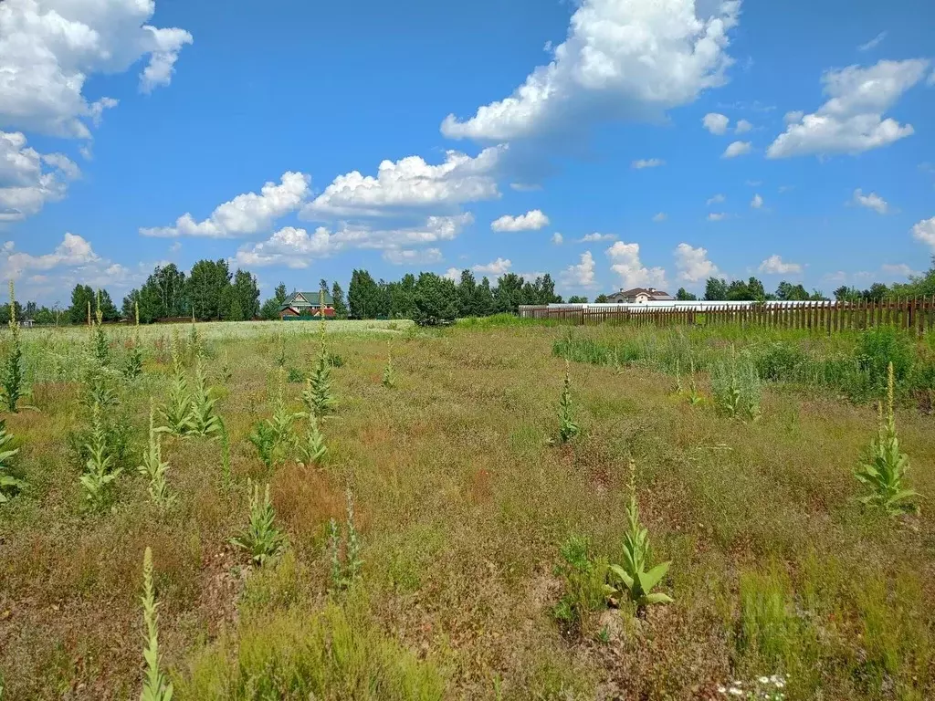 Участок в Владимирская область, Суздальский район, Боголюбовское ... - Фото 1