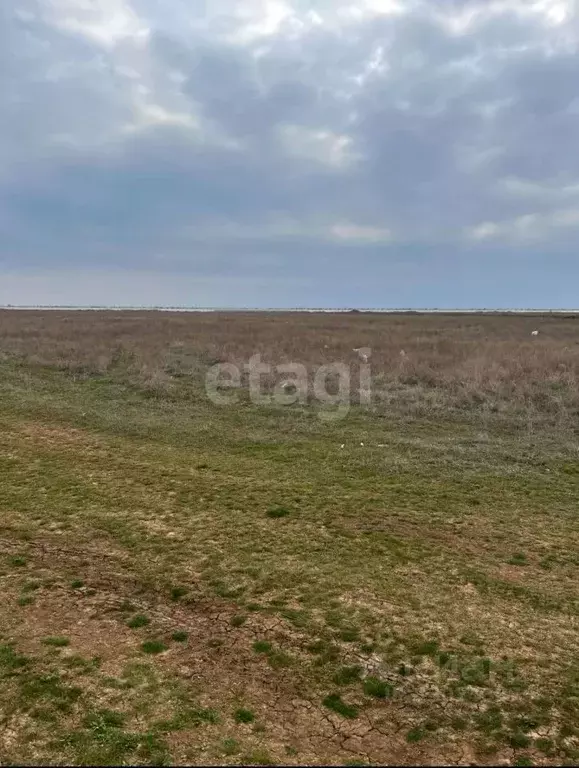 Участок в Крым, Черноморский район, Оленевское с/пос, с. Оленевка  ... - Фото 1