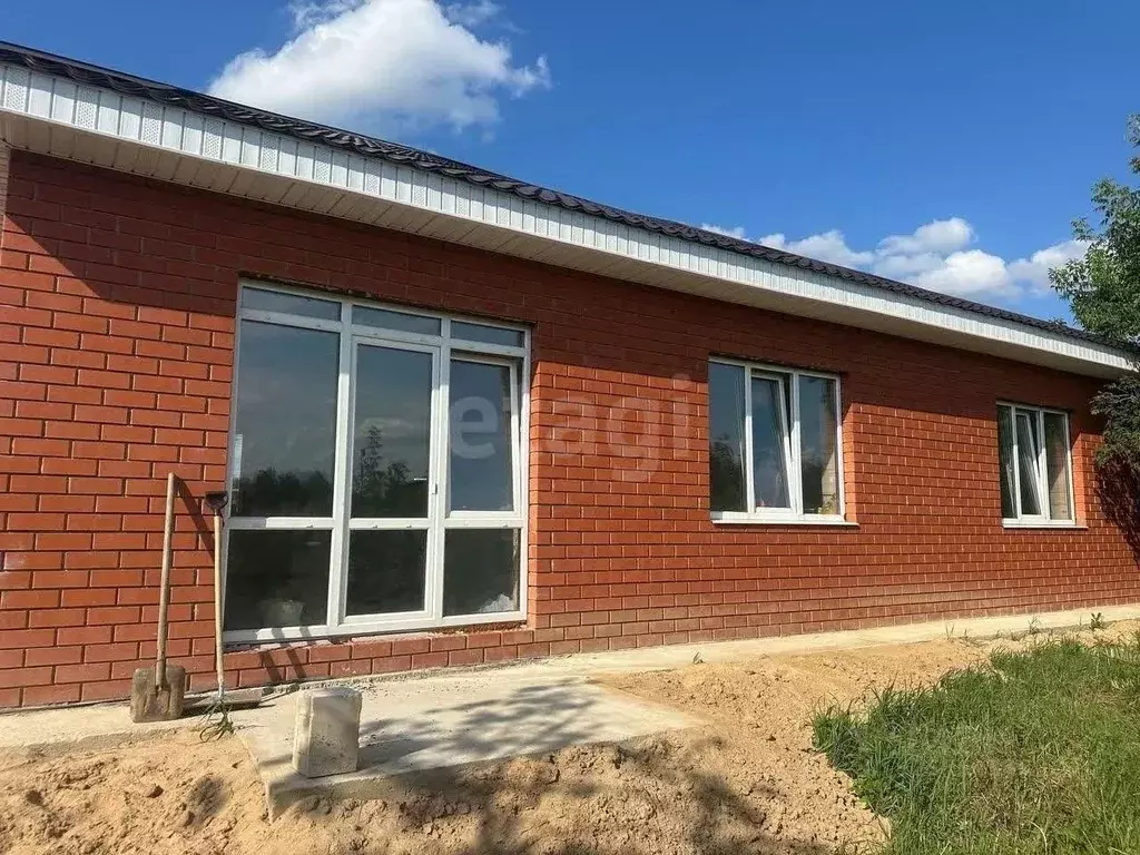 Дом в Нижегородская область, Выкса городской округ, Ближне-Песочное рп ... - Фото 2