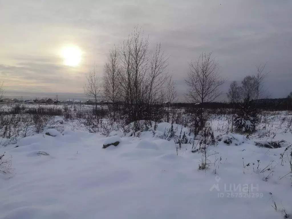 Участок в Владимирская область, Кольчугино ул. Карасева (10.0 сот.) - Фото 1