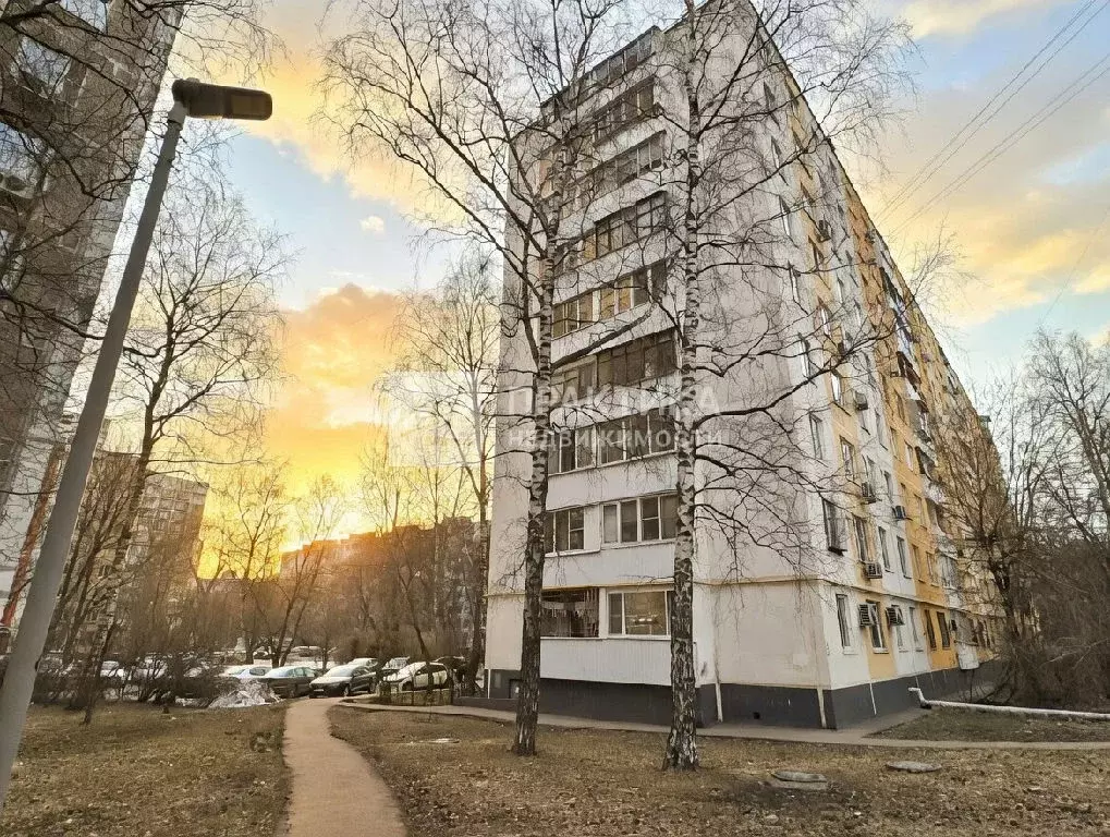 Продается 1-комнатная квартира - Фото 1