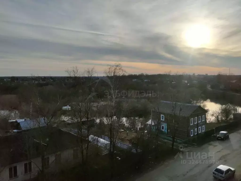 1-к кв. Новгородская область, Чудово ул. Восстания, 29 (29.8 м) - Фото 1