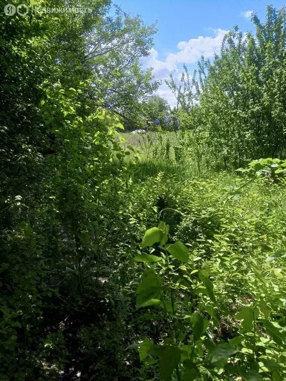 Дом в Ростовская область, Новошахтинск (40 м) - Фото 0