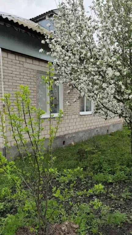 Дом в Башкортостан, Илишевский район, Яркеевский сельсовет, с. ... - Фото 2
