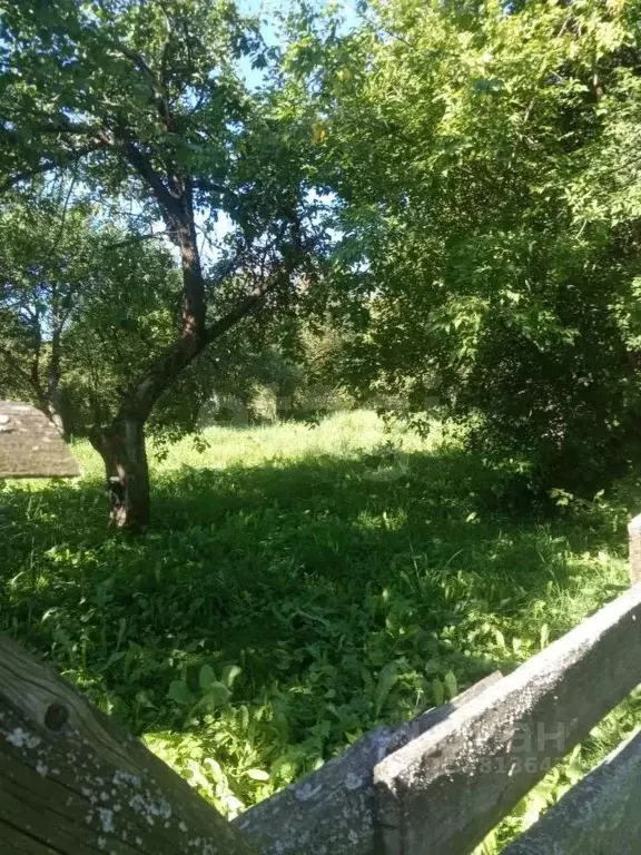 Дом в Калужская область, Сухиничский муниципальный округ, Шлиппово ... - Фото 1