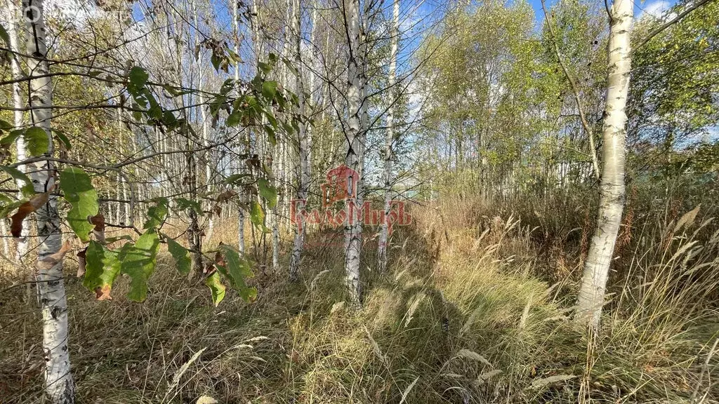 Участок в Александровский район, муниципальное образование Каринское, ... - Фото 1