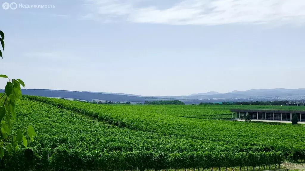 Участок в Краснодарский край, городской округ Новороссийск, хутор ... - Фото 2