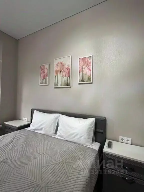 1-к кв. Ставропольский край, Кисловодск ул. 40 лет Октября, 37 (35.0 ... - Фото 1